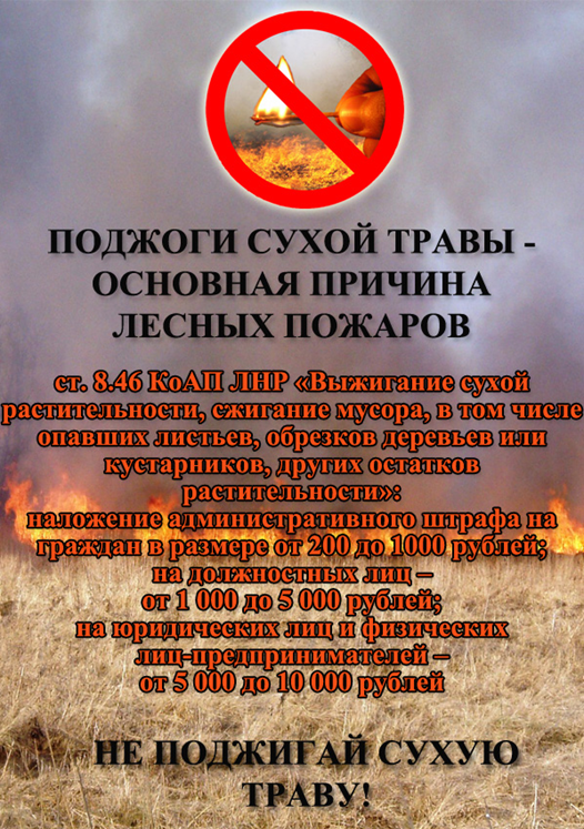 пожар2